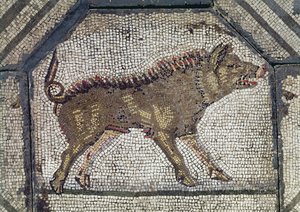 Orfeo encantando a los animales (detalle de un jabalí)